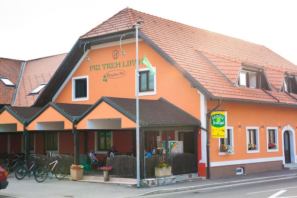 Guest House Pri Treh Lipah プトゥイ エクステリア 写真